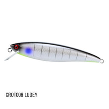 Load image into Gallery viewer, CROAKER OTOLITH 190